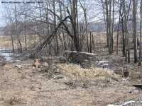 Развалины на разъезде Мошково-Ташара